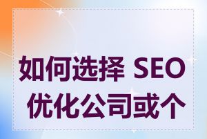 如何选择 SEO 优化公司或个人