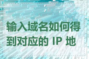 输入域名如何得到对应的 IP 地址