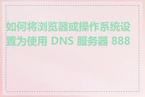 如何将浏览器或操作系统设置为使用 DNS 服务器 8888