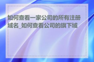 如何查看一家公司的所有注册域名_如何查看公司的旗下域名