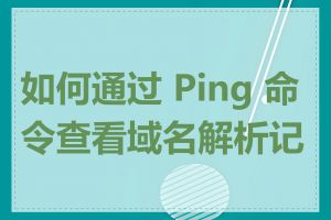 如何通过 Ping 命令查看域名解析记录