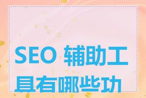 SEO 辅助工具有哪些功能