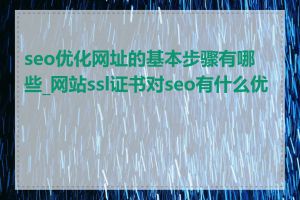 seo优化网址的基本步骤有哪些_网站ssl证书对seo有什么优势