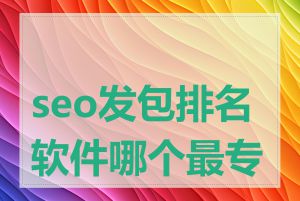 seo发包排名软件哪个最专业