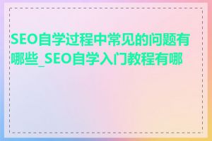 SEO自学过程中常见的问题有哪些_SEO自学入门教程有哪些