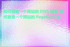 如何查看一个网站的 DNS 设置_如何查看一个网站的 PageRank 信息