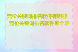 竞价关键词排名软件有哪些_竞价关键词排名软件哪个好用