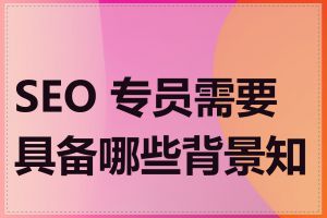 SEO 专员需要具备哪些背景知识