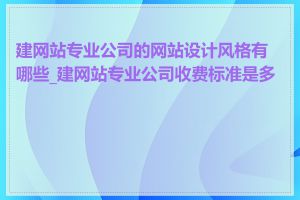 建网站专业公司的网站设计风格有哪些_建网站专业公司收费标准是多少