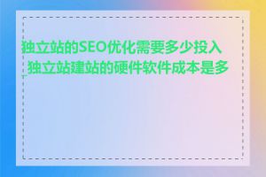 独立站的SEO优化需要多少投入_独立站建站的硬件软件成本是多少