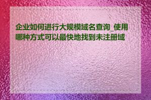 企业如何进行大规模域名查询_使用哪种方式可以最快地找到未注册域名