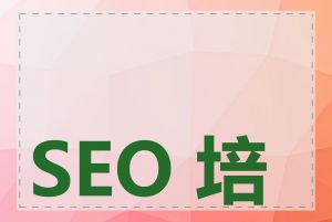 SEO 培训哪里好