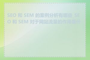 SEO 和 SEM 的案例分析有哪些_SEO 和 SEM 对于网站流量的作用是什么