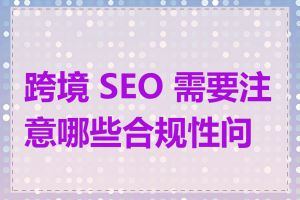 跨境 SEO 需要注意哪些合规性问题