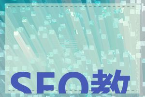 SEO教程是什么