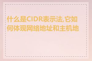 什么是CIDR表示法,它如何体现网络地址和主机地址