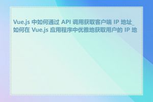 Vue.js 中如何通过 API 调用获取客户端 IP 地址_如何在 Vue.js 应用程序中优雅地获取用户的 IP 地址