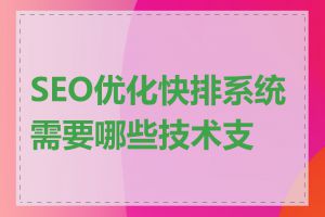 SEO优化快排系统需要哪些技术支持