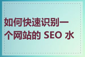 如何快速识别一个网站的 SEO 水平