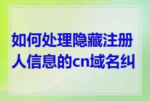 如何处理隐藏注册人信息的cn域名纠纷