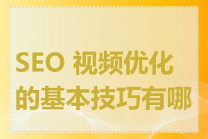 SEO 视频优化的基本技巧有哪些