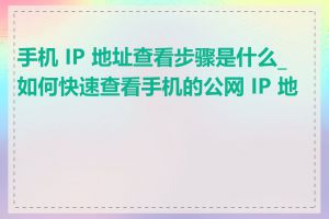 手机 IP 地址查看步骤是什么_如何快速查看手机的公网 IP 地址