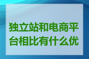 独立站和电商平台相比有什么优势