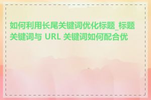 如何利用长尾关键词优化标题_标题关键词与 URL 关键词如何配合优化