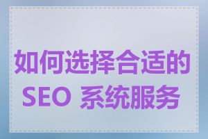 如何选择合适的 SEO 系统服务商