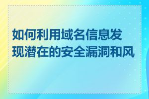 如何利用域名信息发现潜在的安全漏洞和风险