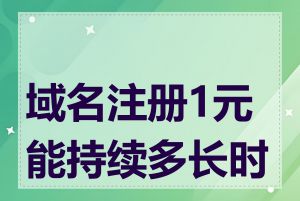 域名注册1元能持续多长时间