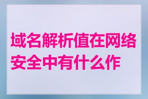 域名解析值在网络安全中有什么作用