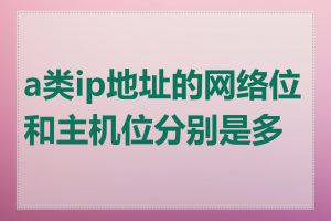 a类ip地址的网络位和主机位分别是多少