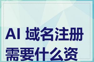 AI 域名注册需要什么资料