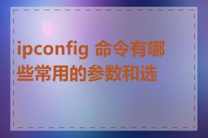 ipconfig 命令有哪些常用的参数和选项