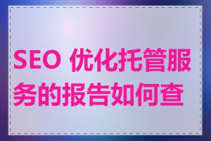 SEO 优化托管服务的报告如何查看