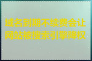 域名到期不续费会让网站被搜索引擎降权吗