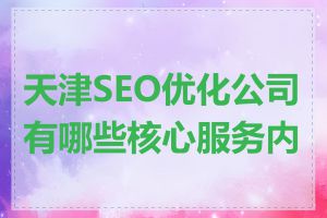 天津SEO优化公司有哪些核心服务内容