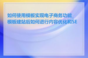 如何使用模板实现电子商务功能_模板建站后如何进行内容优化和SEO