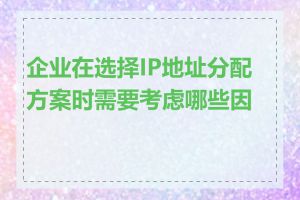 企业在选择IP地址分配方案时需要考虑哪些因素