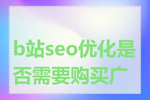 b站seo优化是否需要购买广告