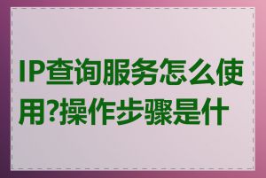 IP查询服务怎么使用?操作步骤是什么