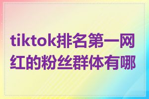 tiktok排名第一网红的粉丝群体有哪些