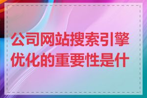 公司网站搜索引擎优化的重要性是什么