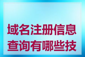 域名注册信息查询有哪些技巧