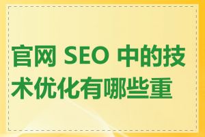 官网 SEO 中的技术优化有哪些重点