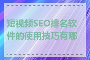 短视频SEO排名软件的使用技巧有哪些