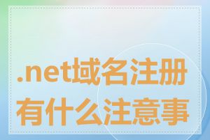 .net域名注册有什么注意事项