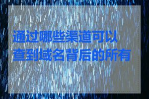 通过哪些渠道可以查到域名背后的所有人