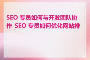 SEO 专员如何与开发团队协作_SEO 专员如何优化网站排名